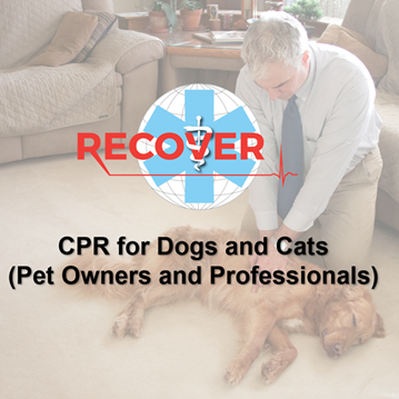 CPR - CPR for Pet Owners and Individuals