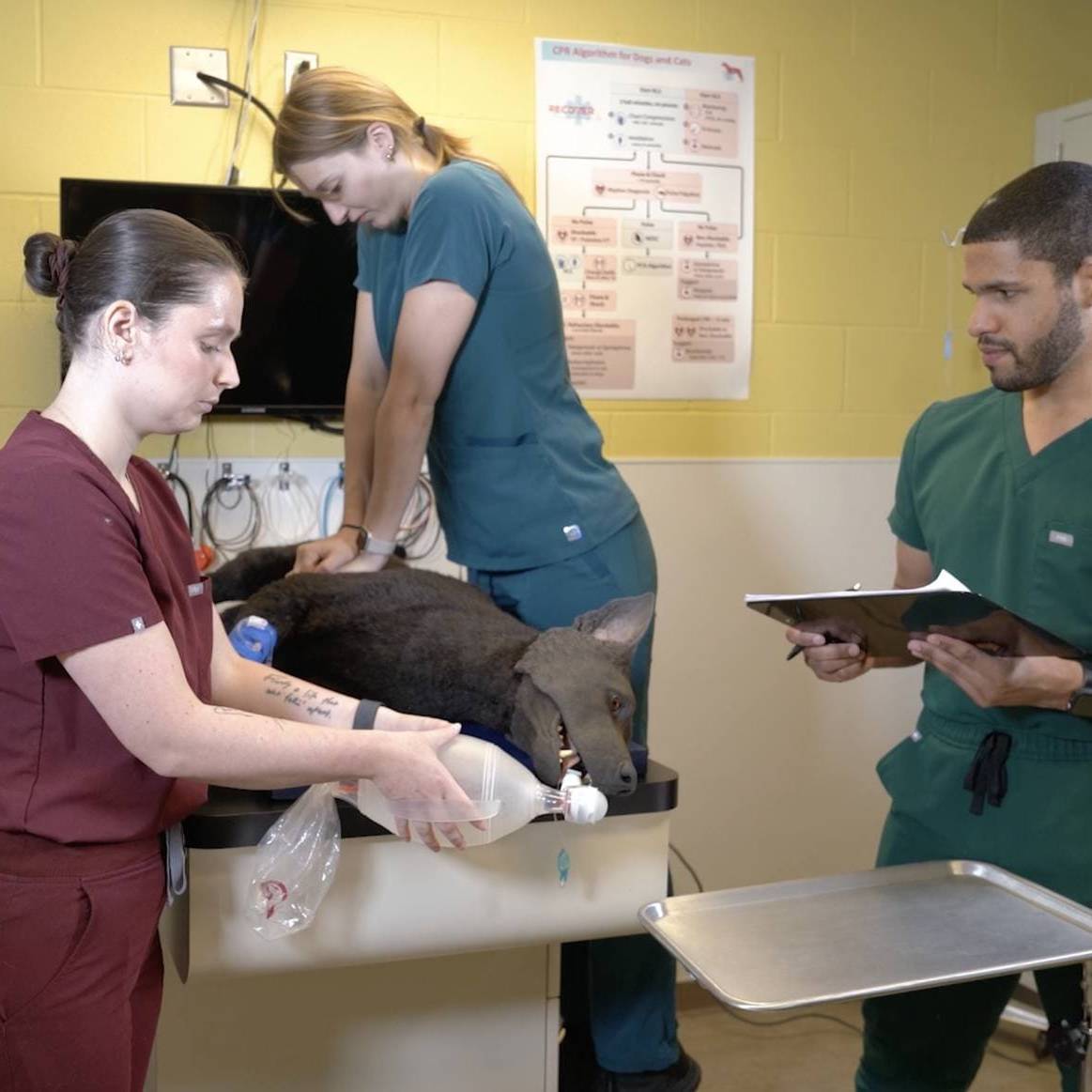 2024 RECOVER CPR - ALS Recertification